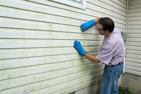 Best Storm Damage Siding Repair  in Lindsay, TX